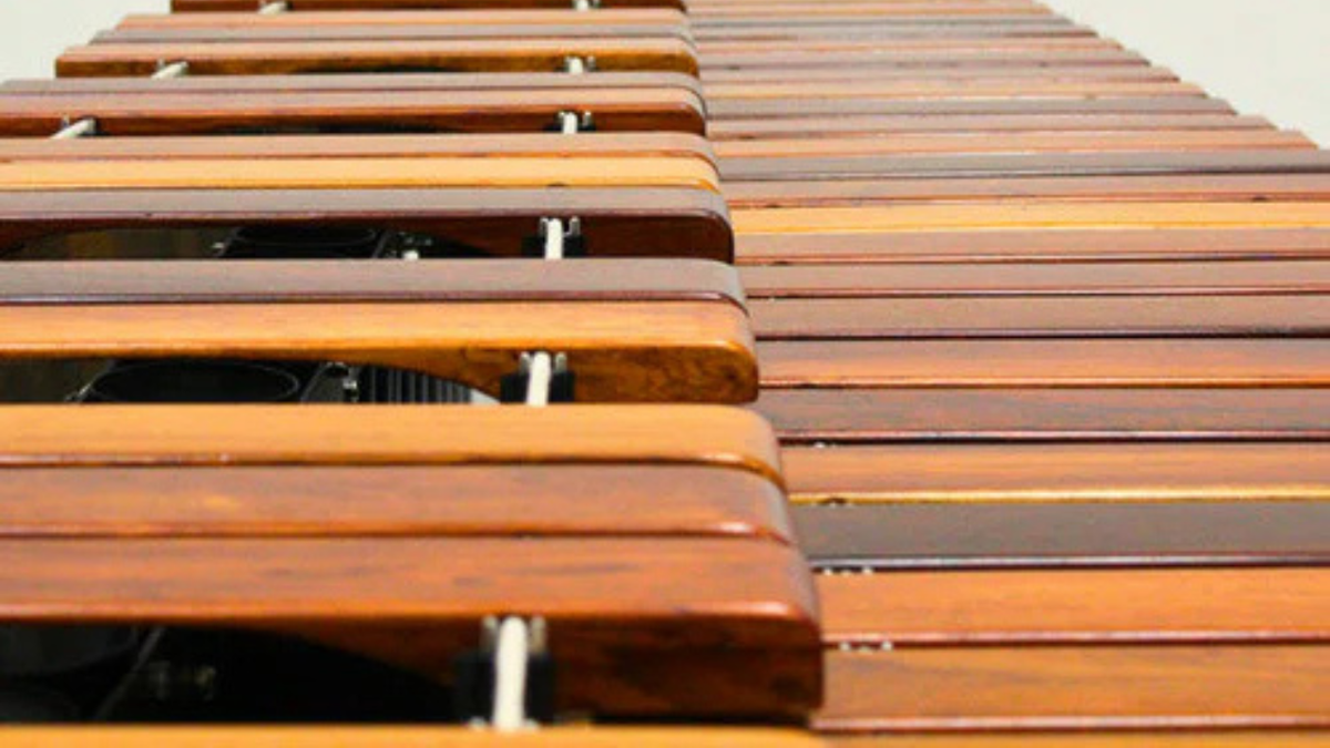 The Evolution of the 5-Octave Marimba
