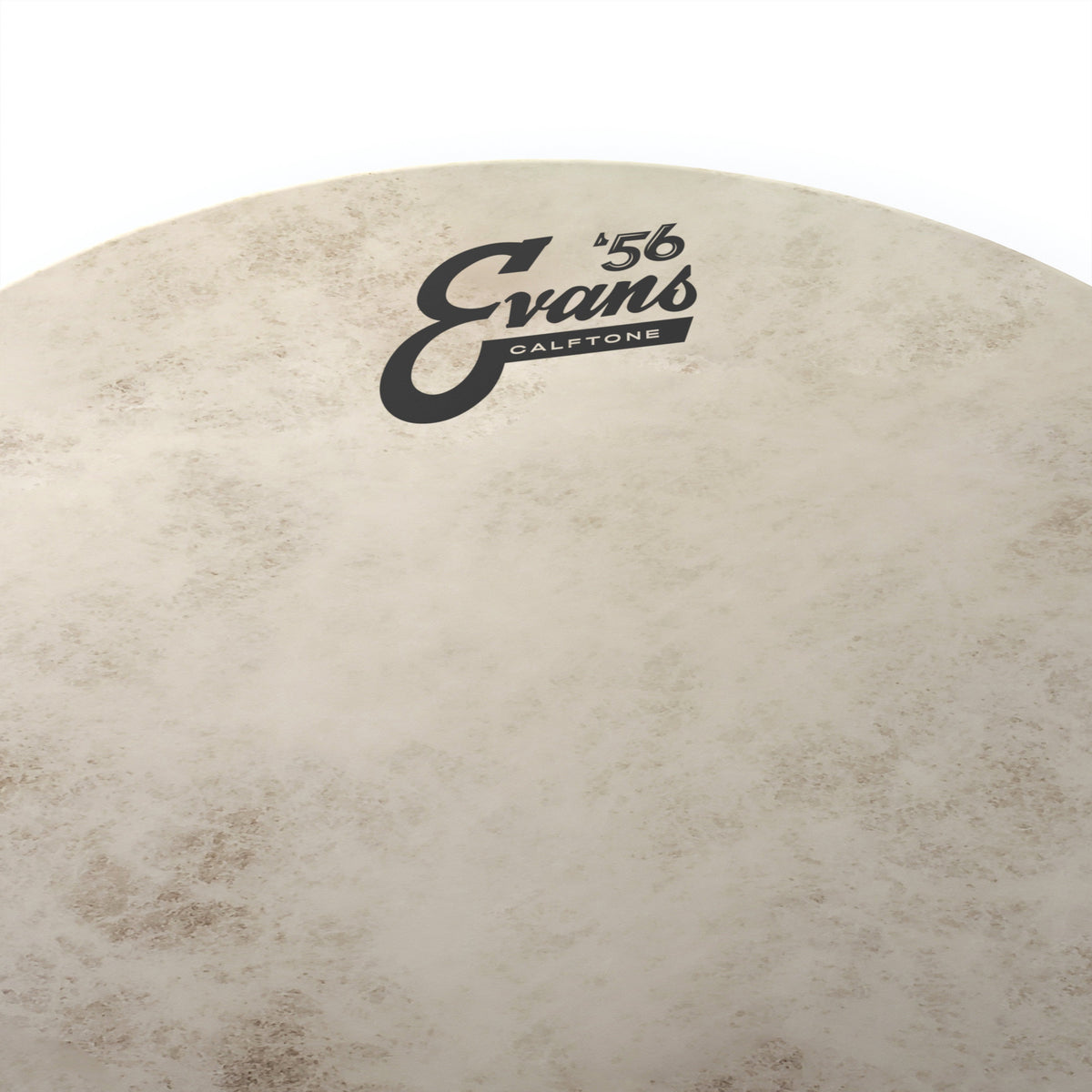 Evans Calftone Drumhead - 14" - Image 2