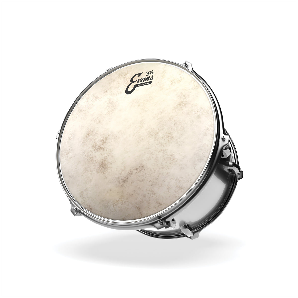 Evans Calftone Drumhead - 14" - Image 3