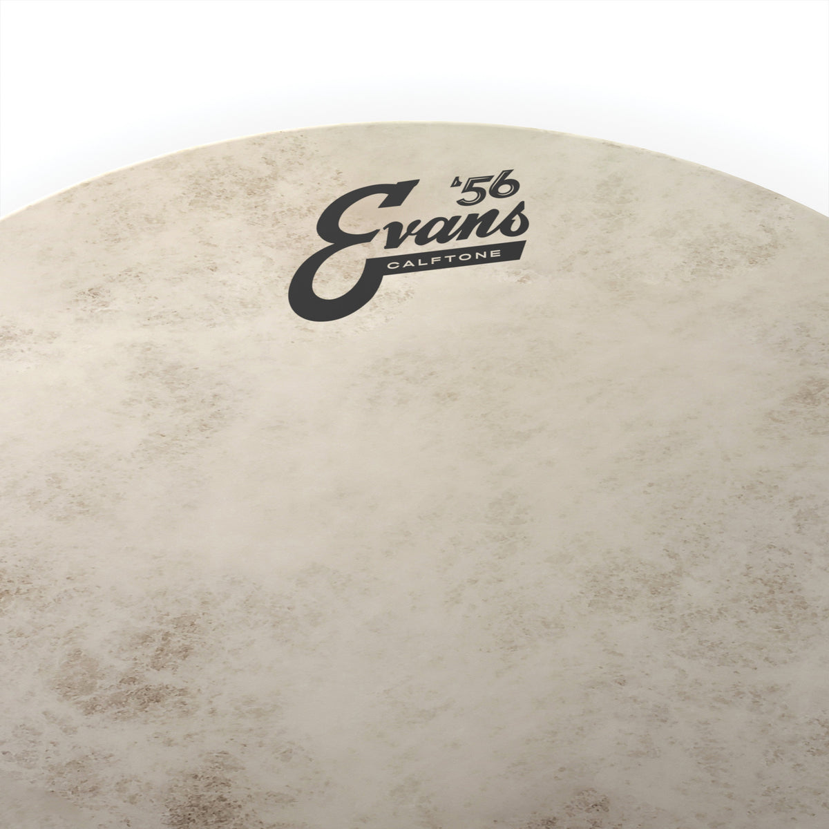 Evans Calftone Drumhead - 8" - Image 2