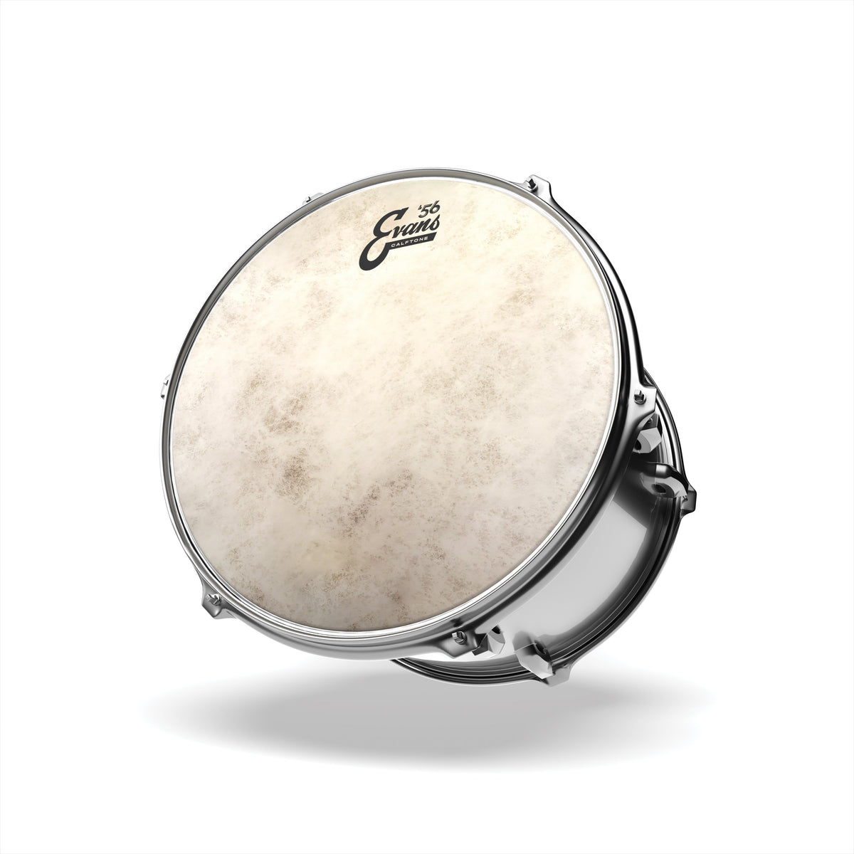 Evans Calftone Drumhead - 8" - Image 3
