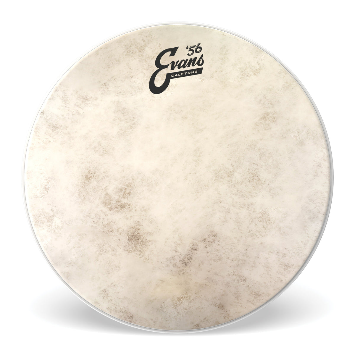 Evans Calftone Drumhead - 8" - Image 1