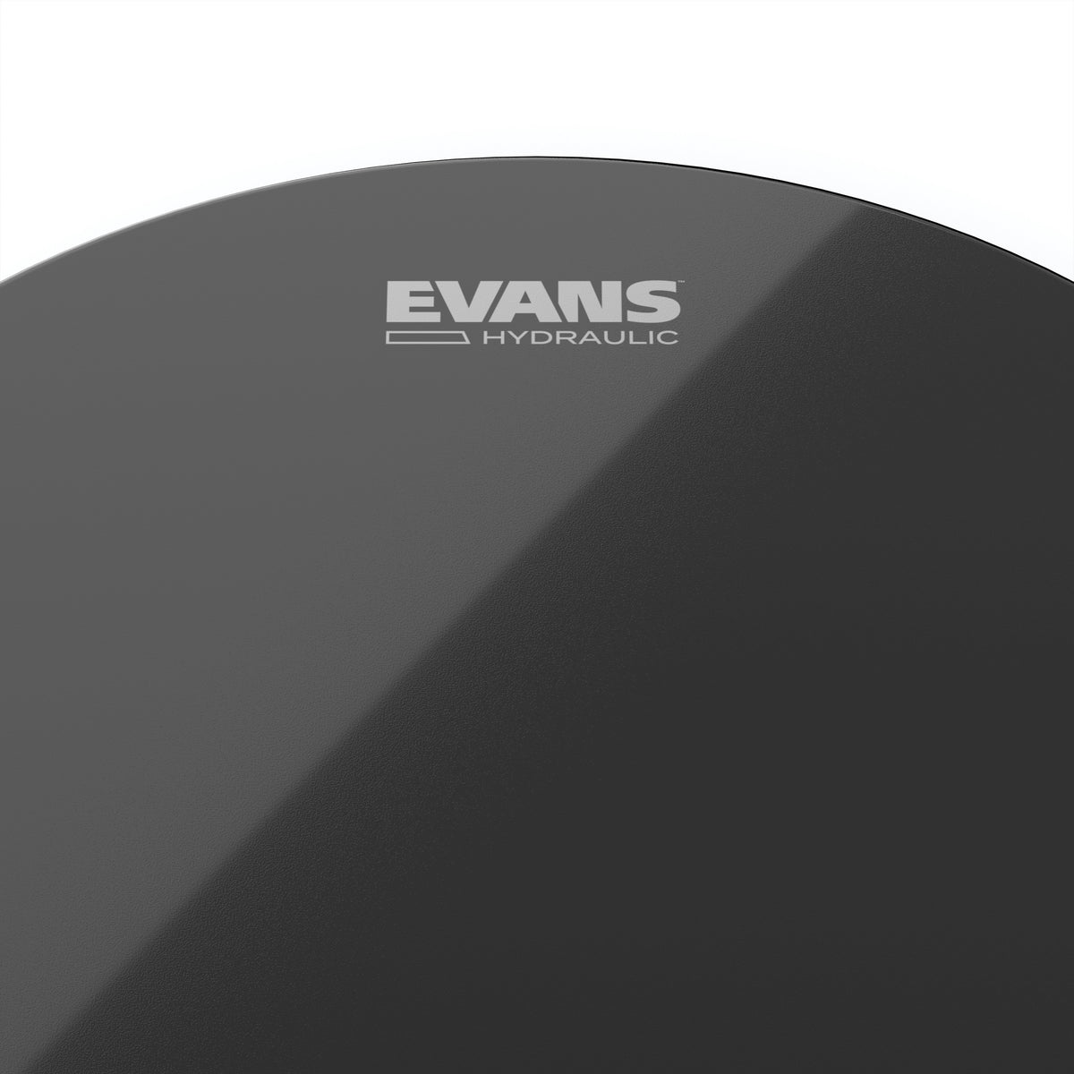 Evans Hydraulic Black Drumhead - 16" - Image 2