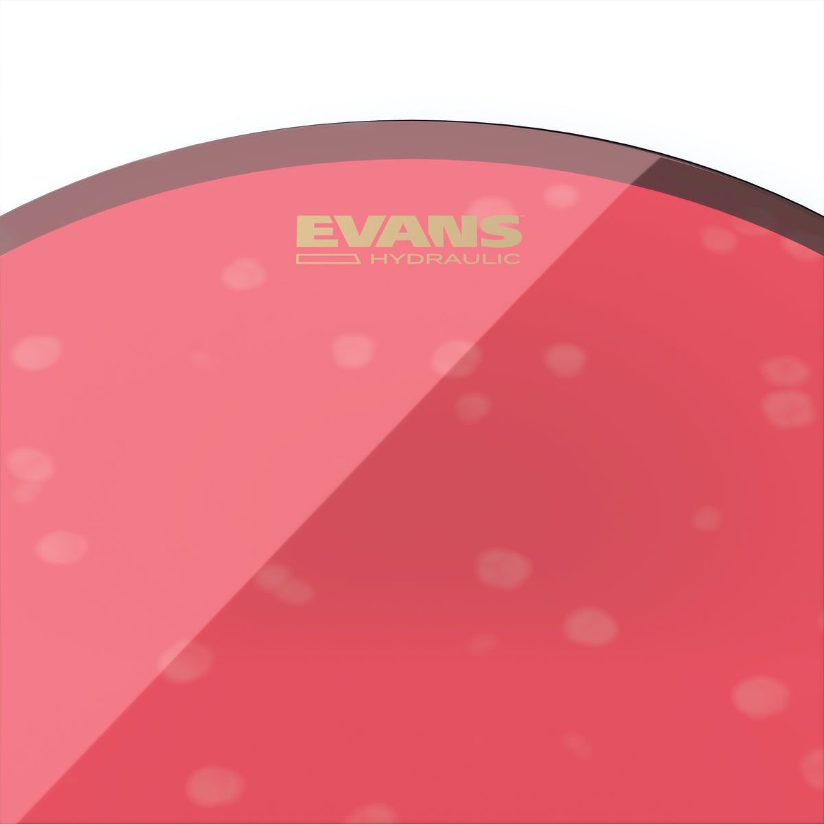 Evans Hydraulic Red Drumhead - 6" - Image 2