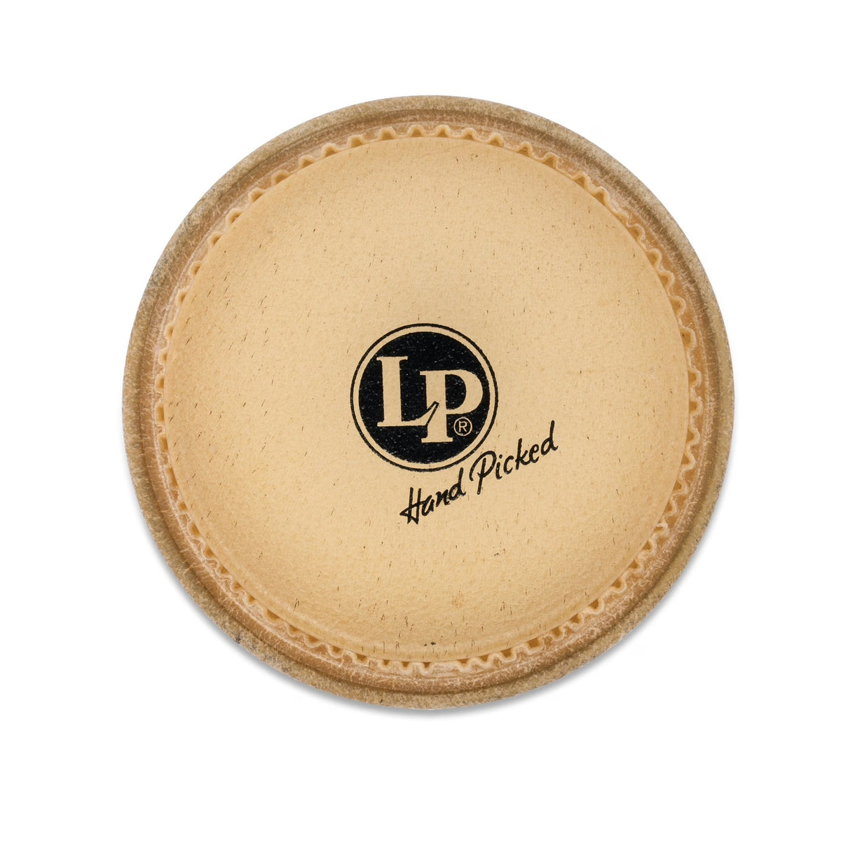 LP264D 5.5 inch rawhide bongo head top view