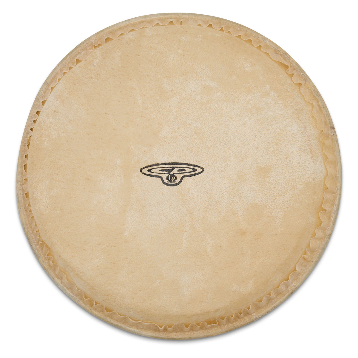 CP Bongo Head for CP221 - 7" - Image 1