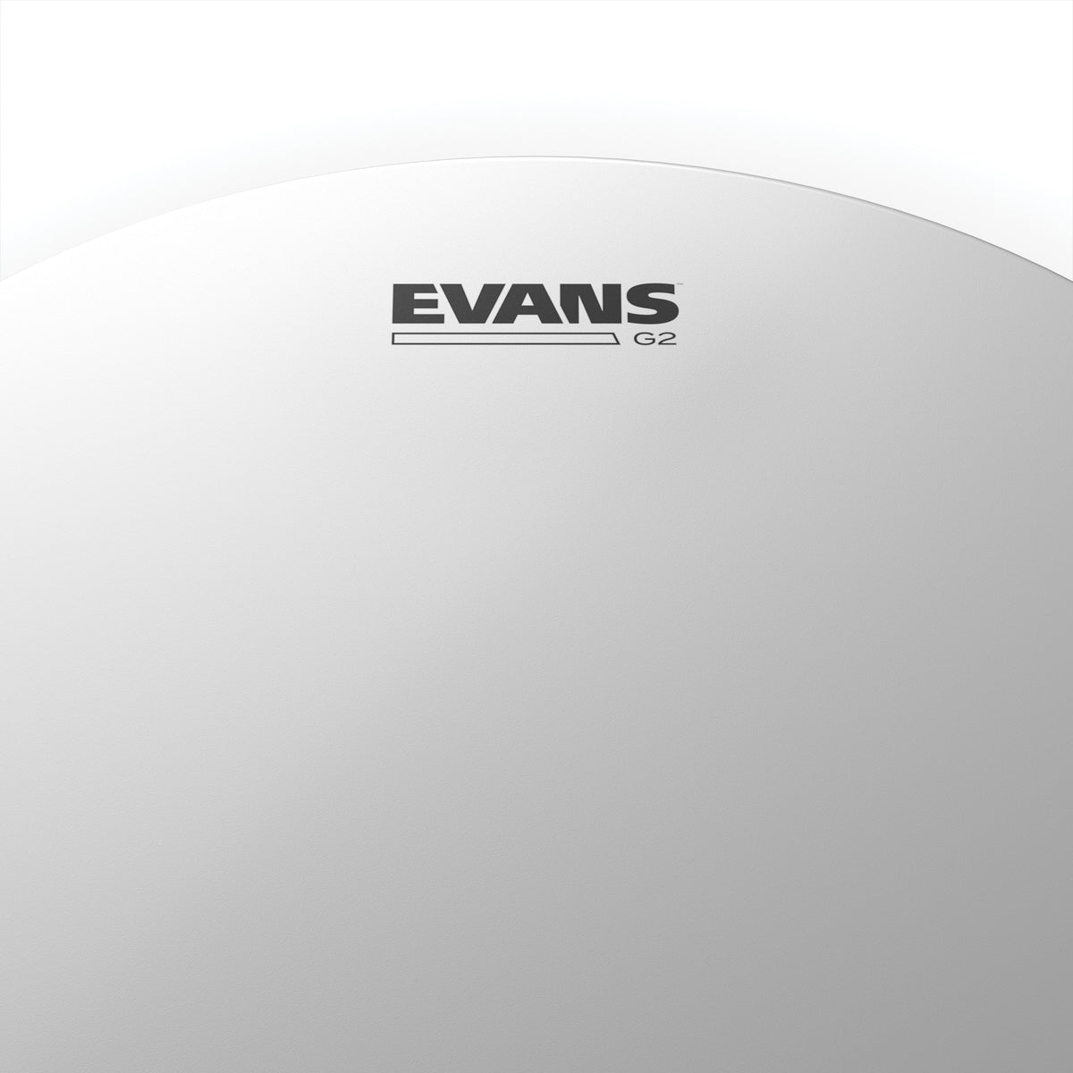 Evans Genera G2 Coated Drumhead - 15" - Image 2