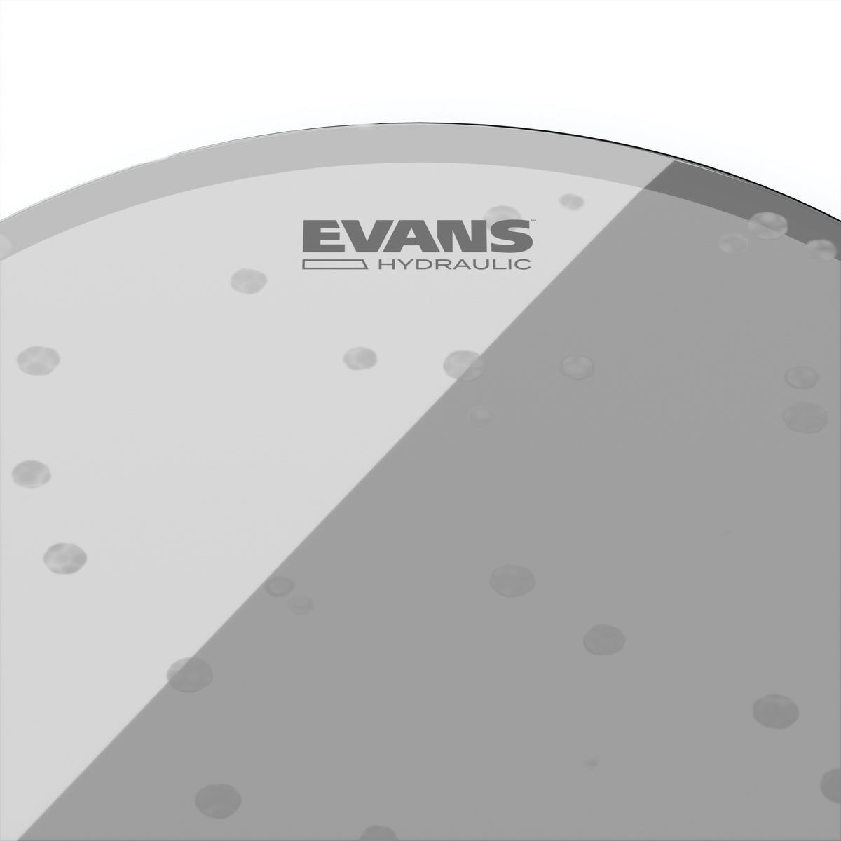 Evans Hydraulic Glass Drumhead - 16" - Image 2