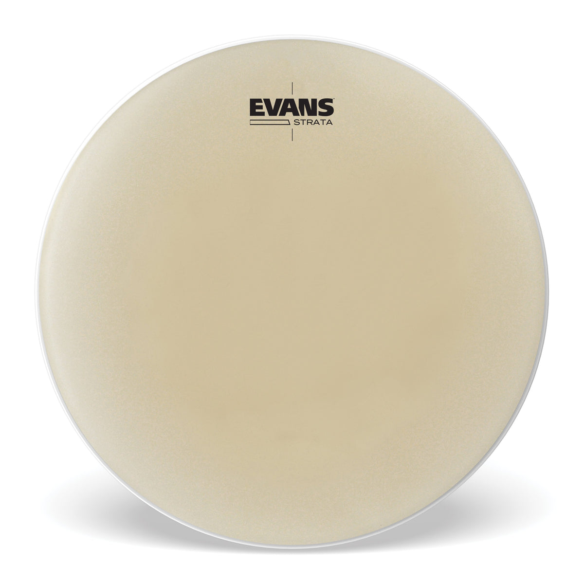 Evans Strata Timpani Head - 31" - Image 1