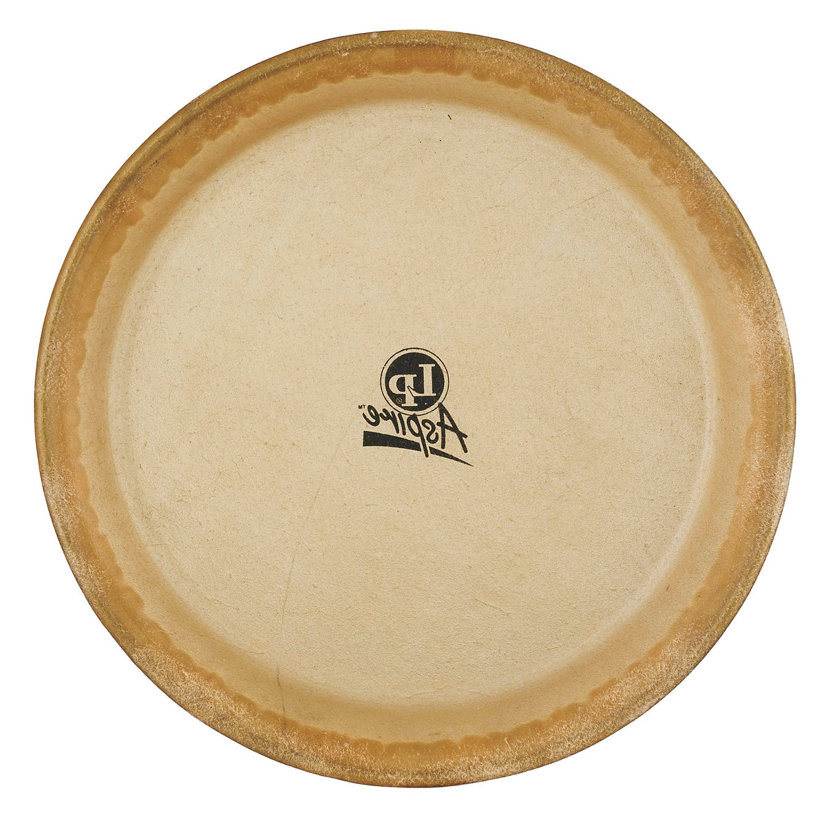 LP Aspire Conga Head - 10" - Image 2