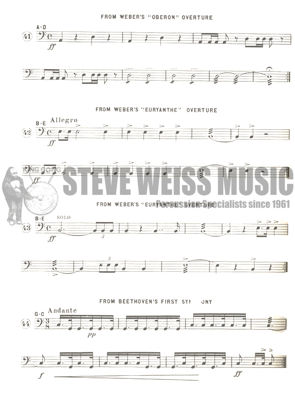 Ludwig-Timpani Instructor